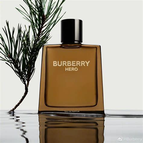 burberry cologne song